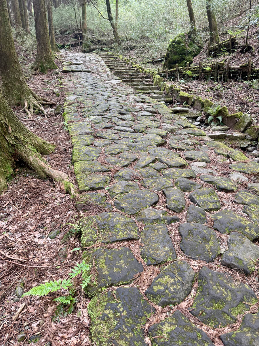 箱根八里石畳ランニング