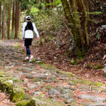 箱根八里石畳ランニング