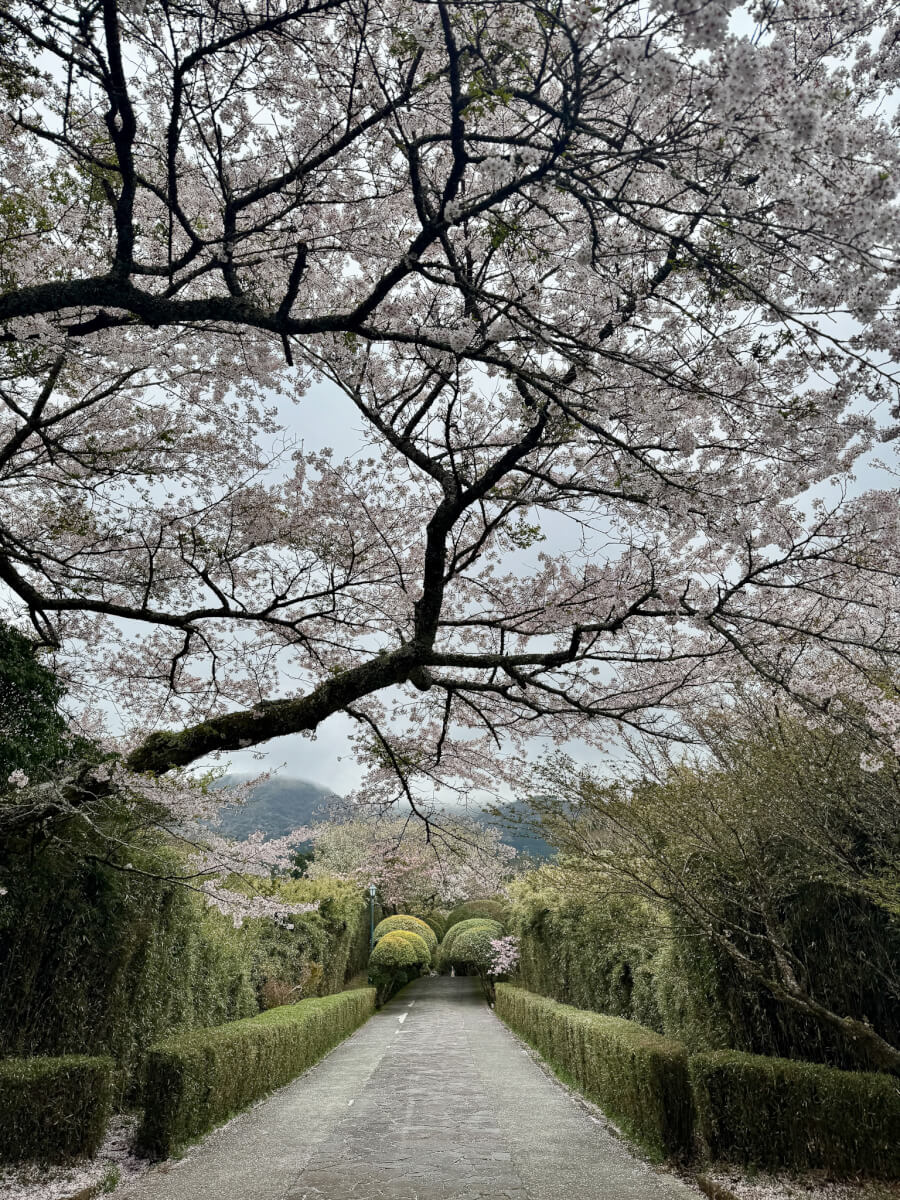 箱根芦ノ湖ランニング