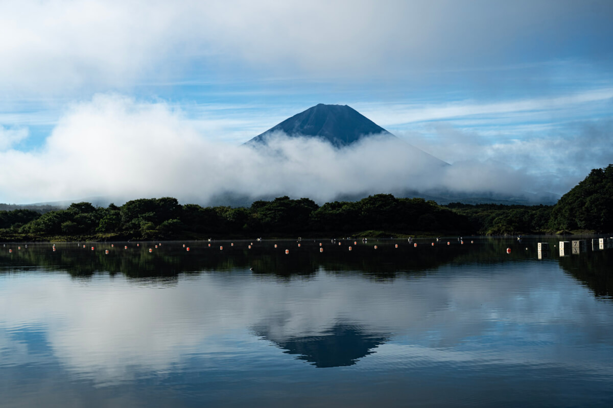 精進湖他手合浜の富士山と夏の朝霧