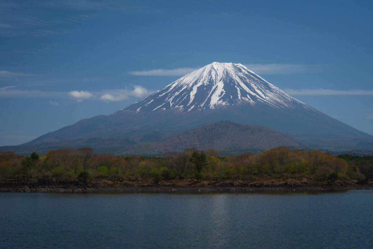 精進湖他手合浜富士山