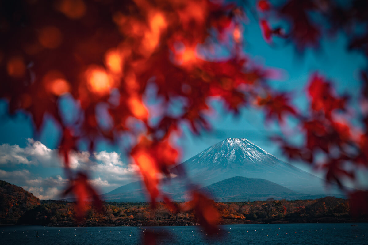 精進湖他手合浜富士山写真秋紅葉
