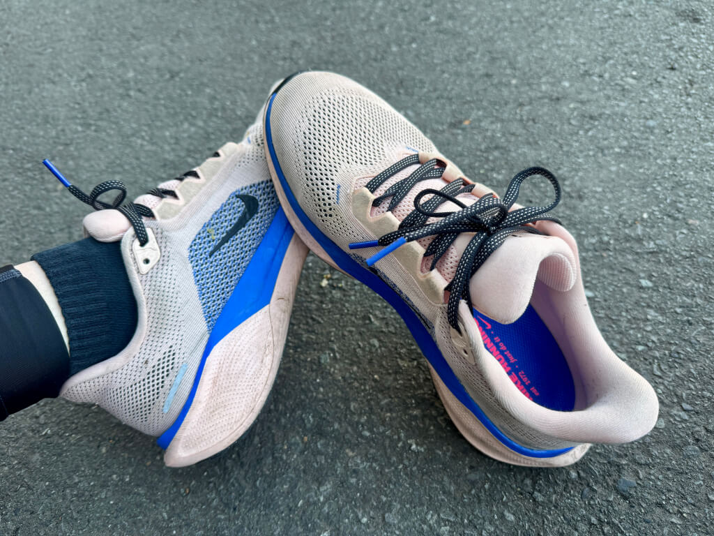 裾野市ランニングコース画像