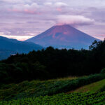 裾野市富士山絶景写真撮影スポット