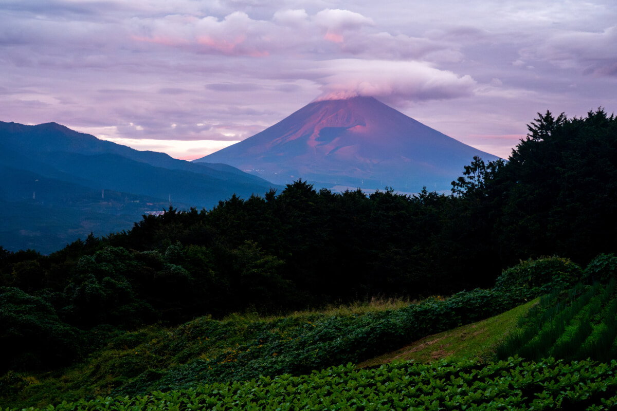 裾野市富士山絶景写真撮影スポット