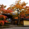 西明寺の紅葉写真