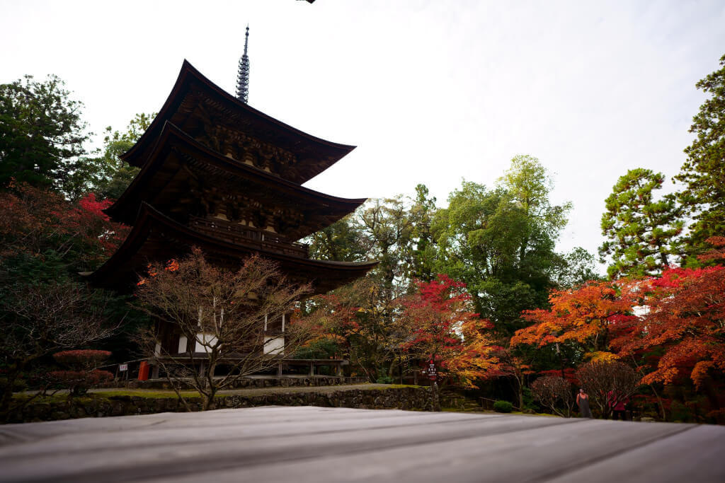 西明寺の紅葉写真