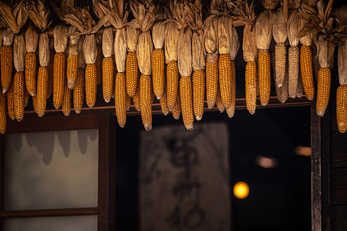 西湖いやしの里根場の写真