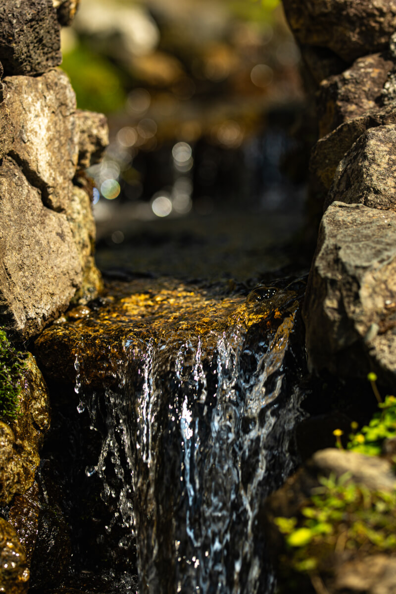 西湖いやしの里根場の写真