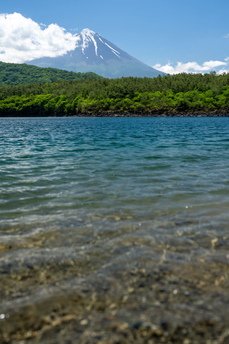 西湖根場浜〜富士山撮影写真スポット