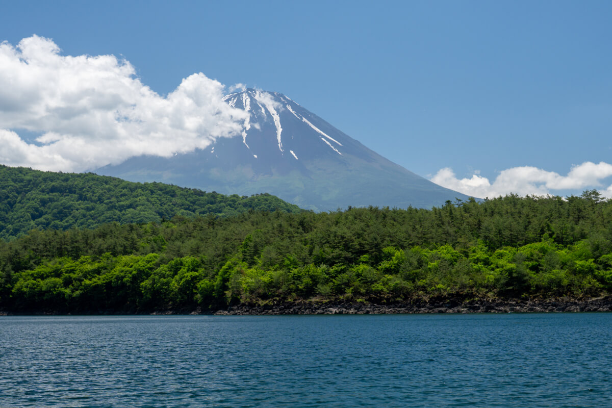 西湖根場浜〜富士山撮影写真スポット