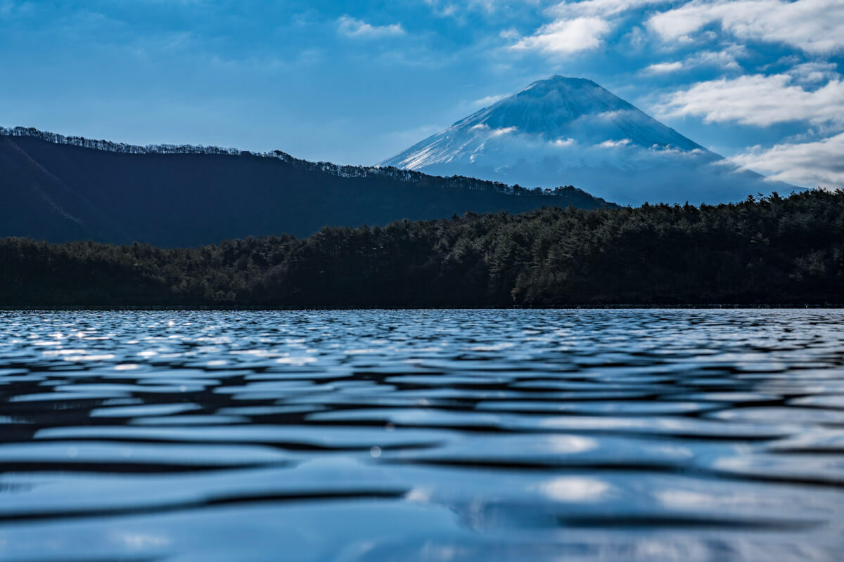 西湖根場浜と富士山