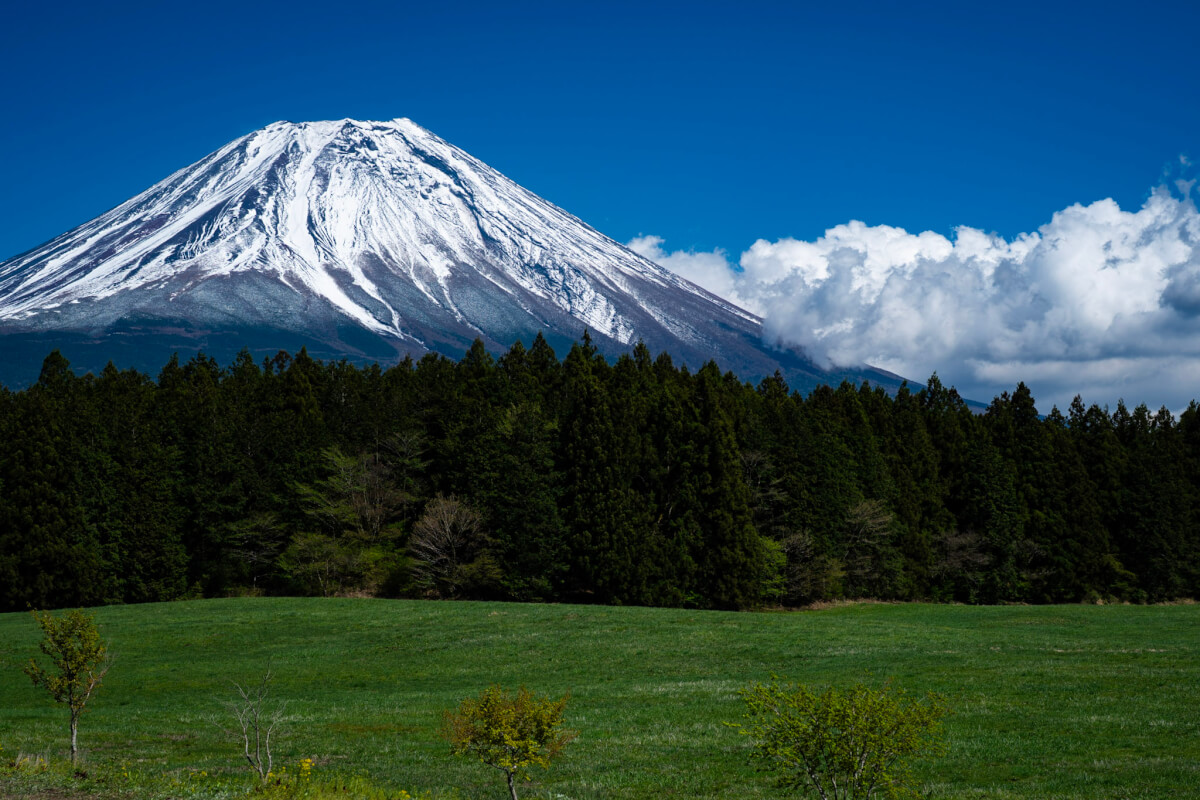 道の駅・朝霧高原の富士山展望台