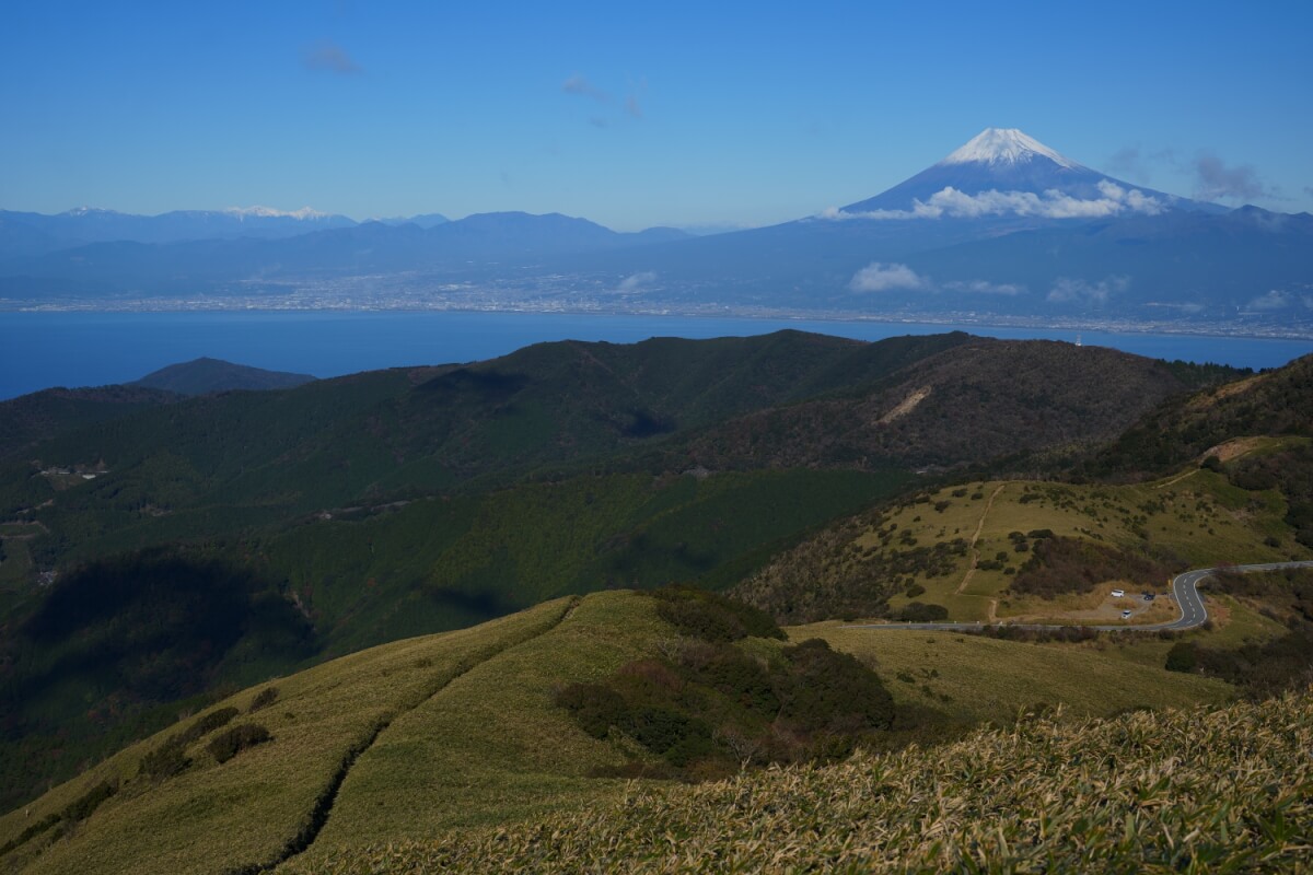 達磨山頂からの富士山写真