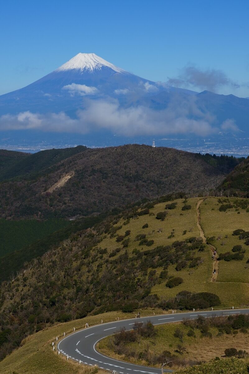 達磨山頂からの富士山写真