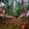 金剛輪寺の紅葉写真