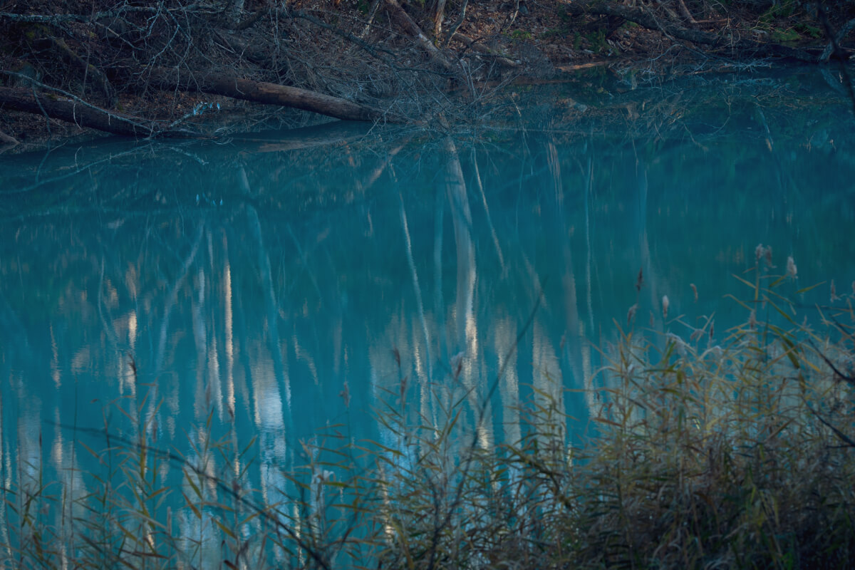 青沼早朝写真撮影五色沼湖沼群