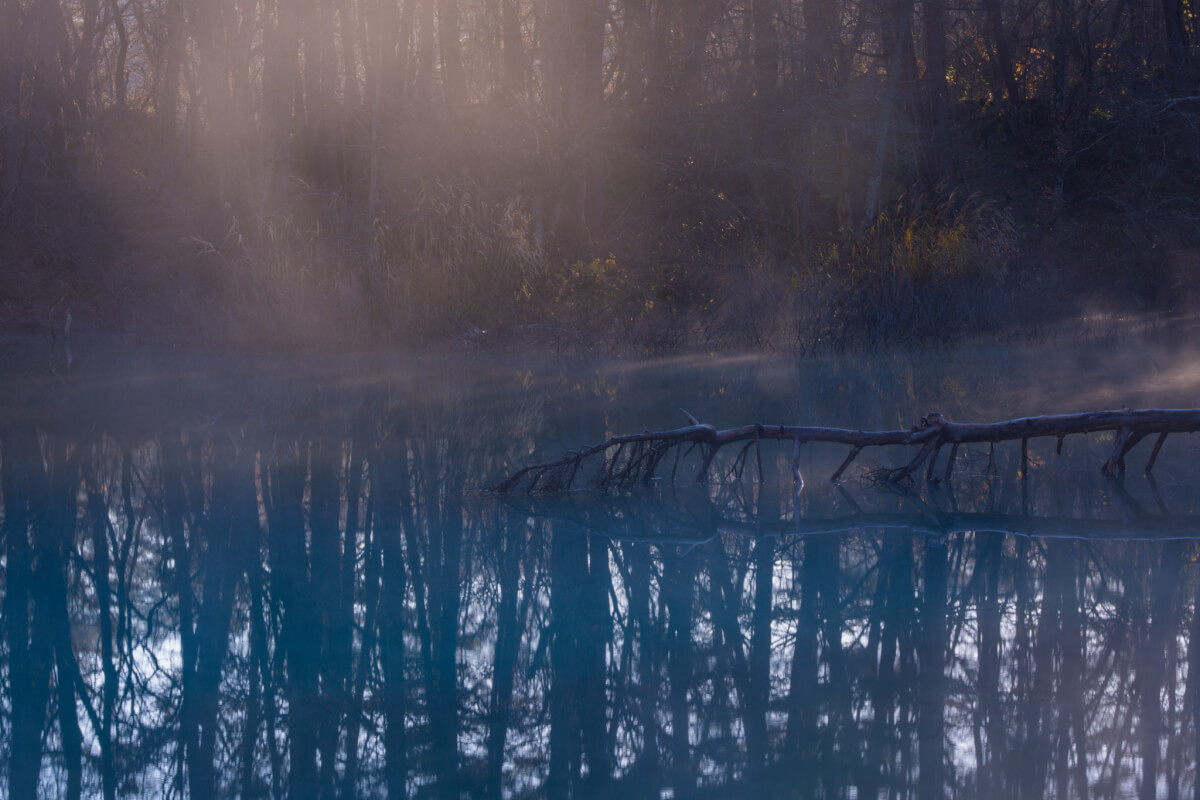 青沼早朝写真撮影五色沼湖沼群
