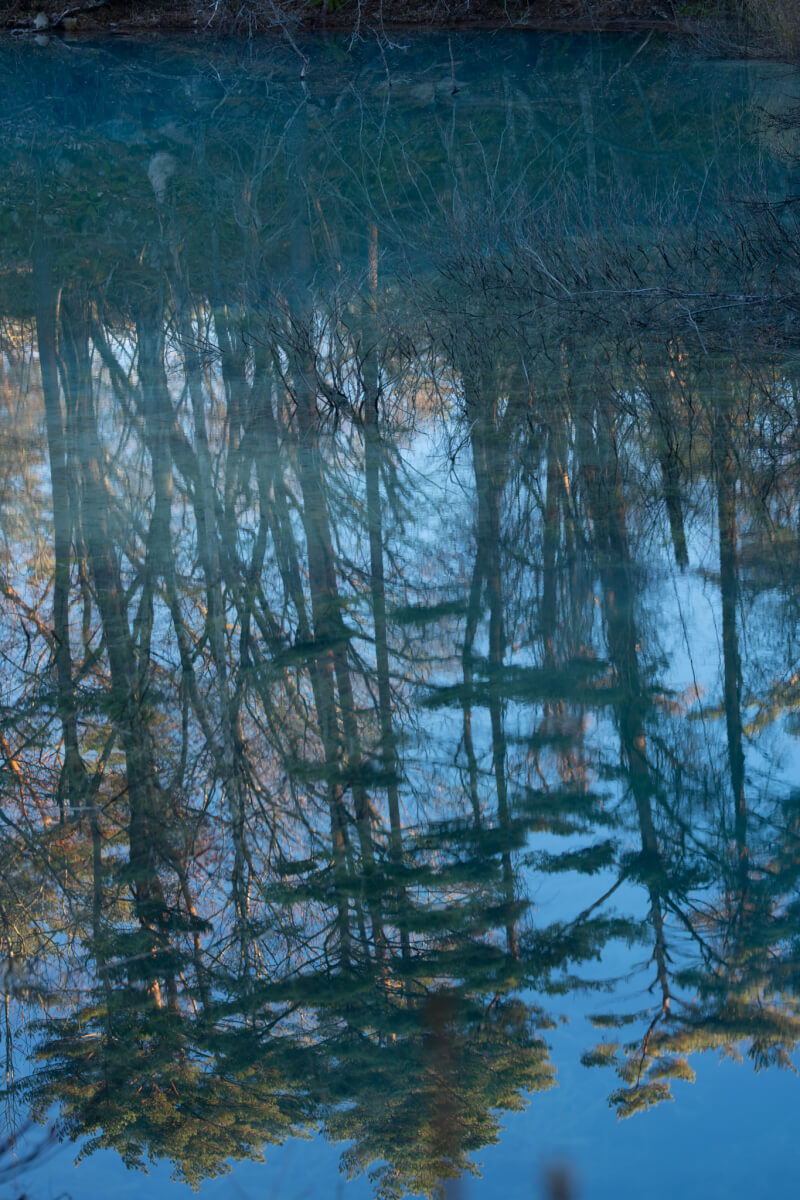 青沼早朝写真撮影五色沼湖沼群