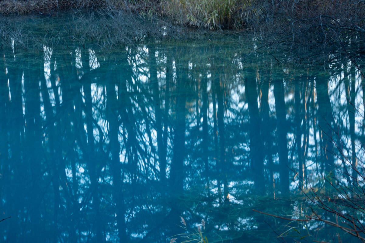 青沼早朝写真撮影五色沼湖沼群