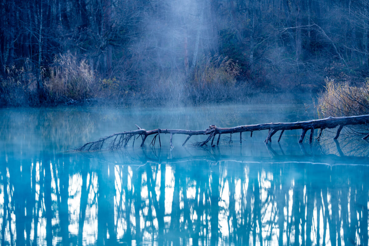 青沼早朝写真撮影五色沼湖沼群
