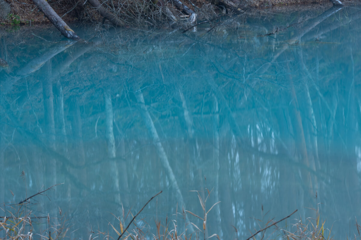 青沼早朝写真撮影五色沼湖沼群