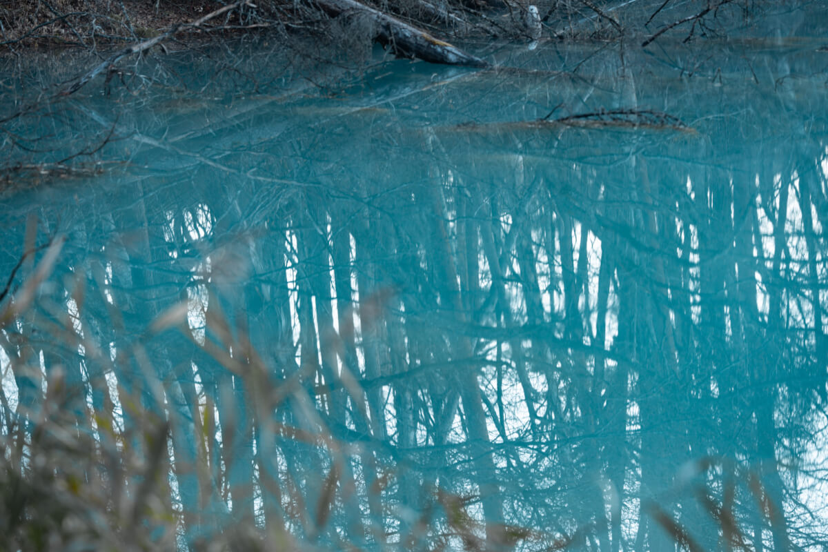 青沼早朝写真撮影五色沼湖沼群