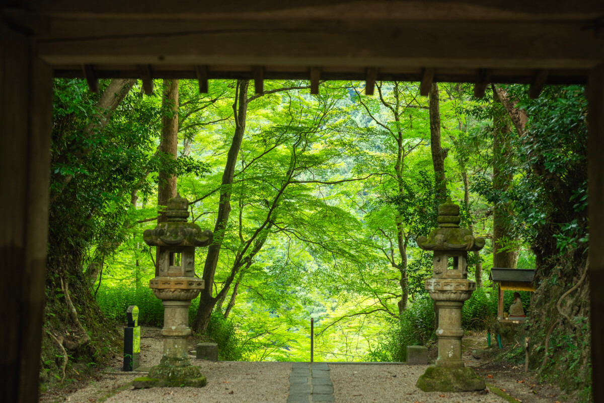 香嵐渓と香積寺の夏写真