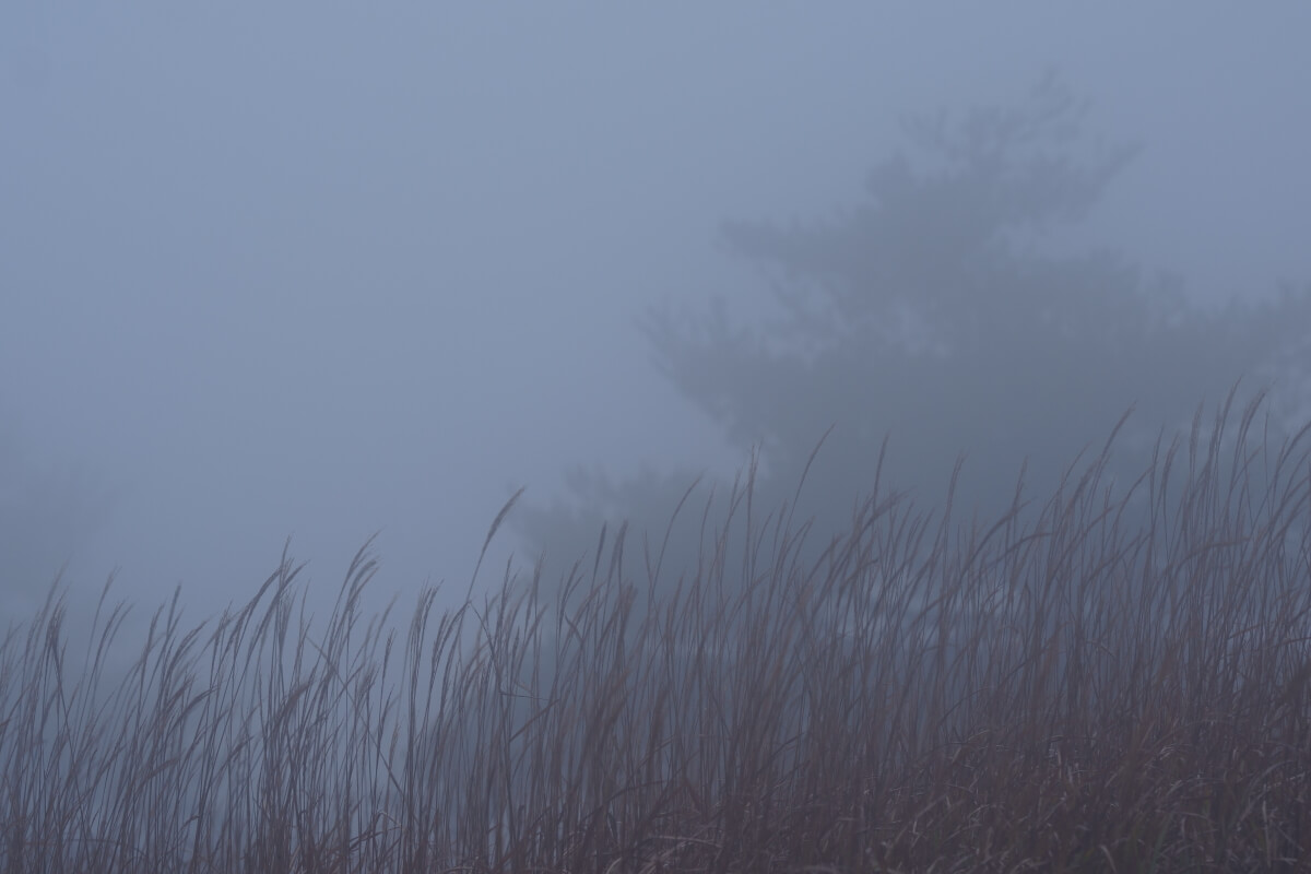 高ボッチ失敗写真ガスって