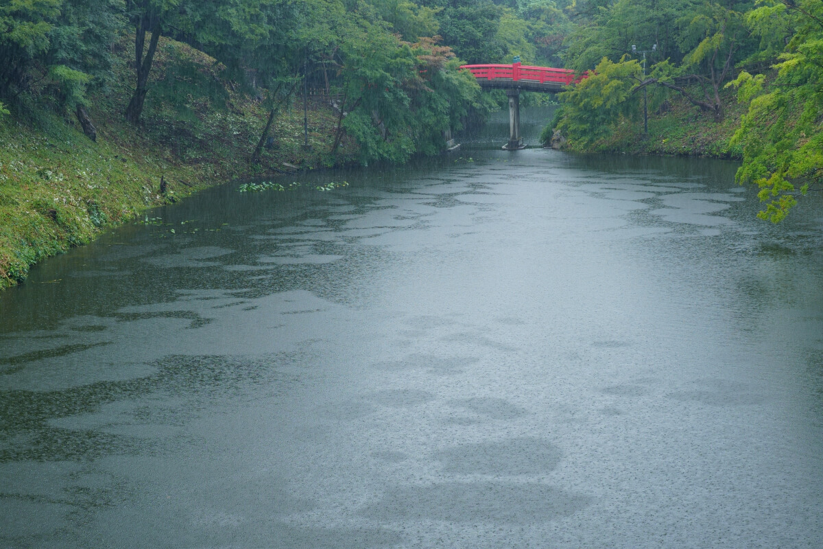 高岡城の水堀写真