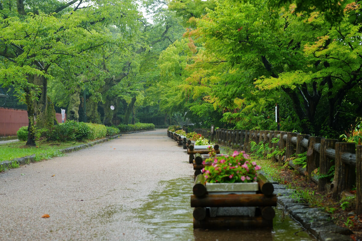 高岡城の水堀写真