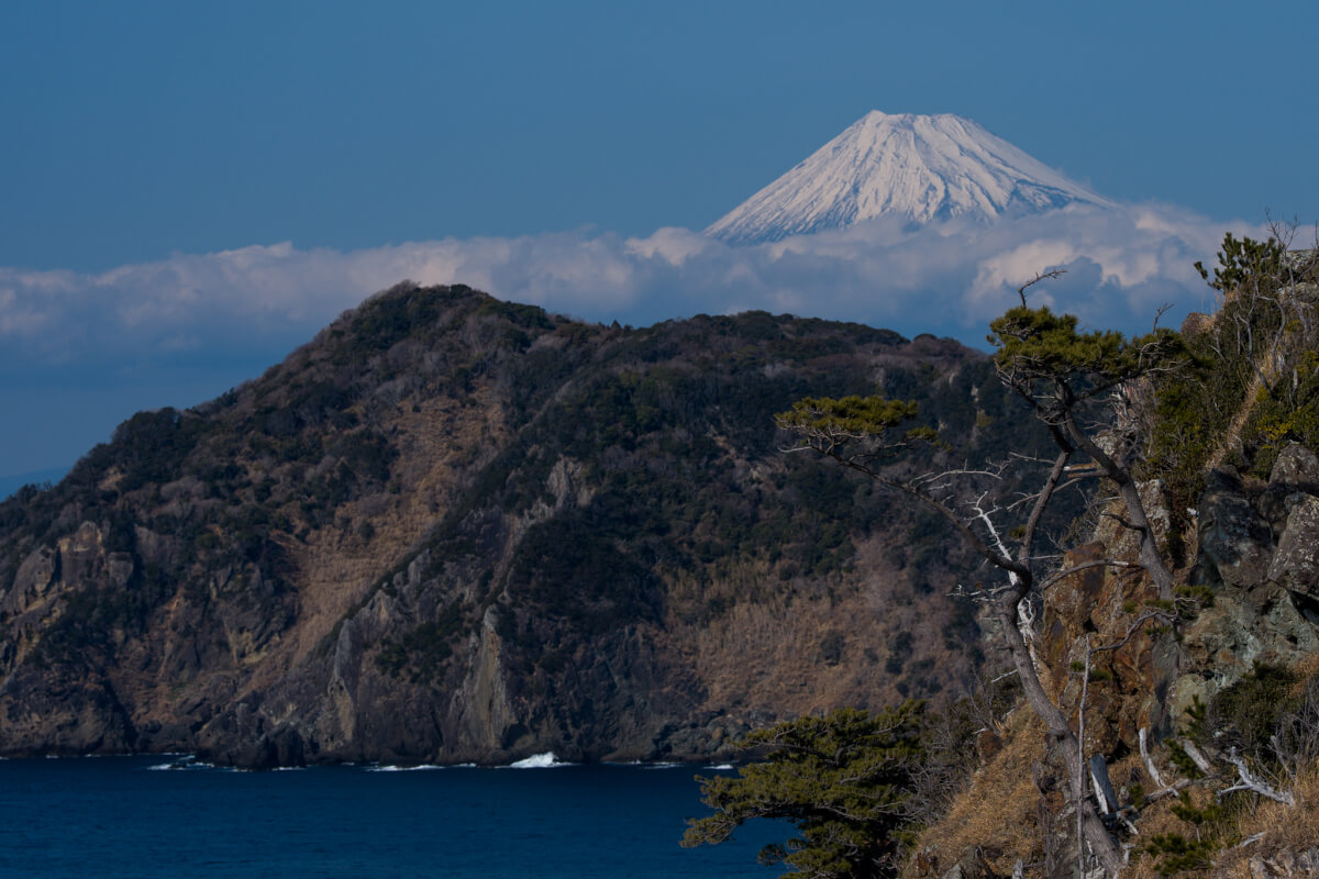 黄金崎公園・富士山/馬ロック写真撮影