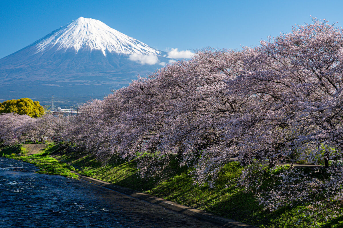 龍厳淵の桜と富士山写真スポット