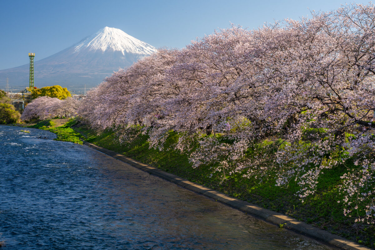 龍厳淵の桜と富士山写真スポット