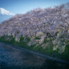 龍厳淵の桜と富士山写真スポット